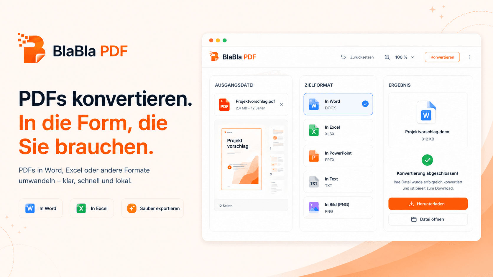 BlaBla PDF Konvertierungsablauf vom PDF zum gewaehlten Ausgabeformat