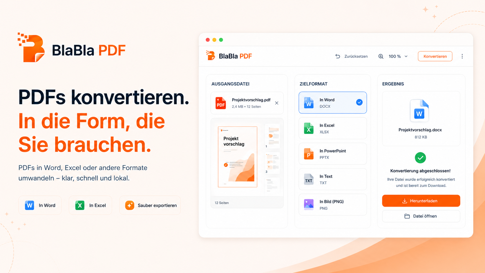BlaBla PDF Konvertierungsablauf vom PDF zum gewaehlten Ausgabeformat