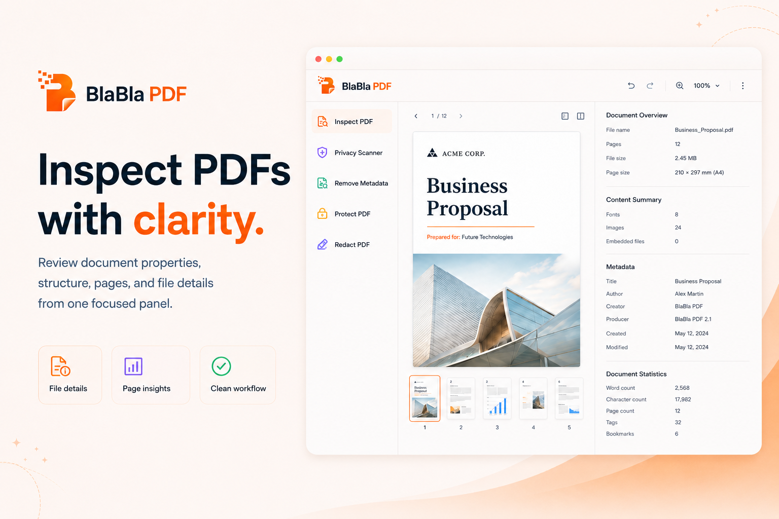 BlaBla PDF inspection panel showing clear PDF document information